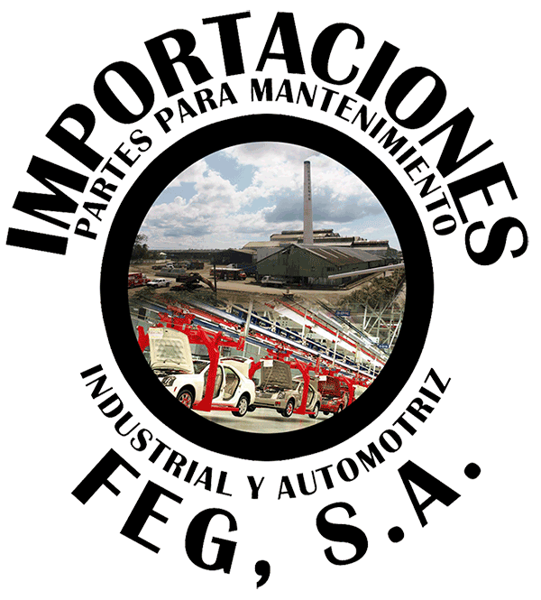 logo fegsa